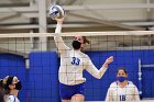 Volleyball vs RWU  Wheaton Women’s Volleyball vs Roger Williams University. : Volleyball, VB